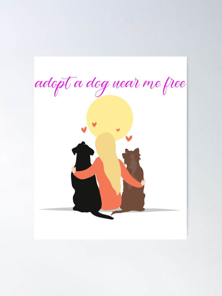 Adopt a dog near me. Adopt me please Fitted Scoop  Poster for Sale by  StatelyTshirts