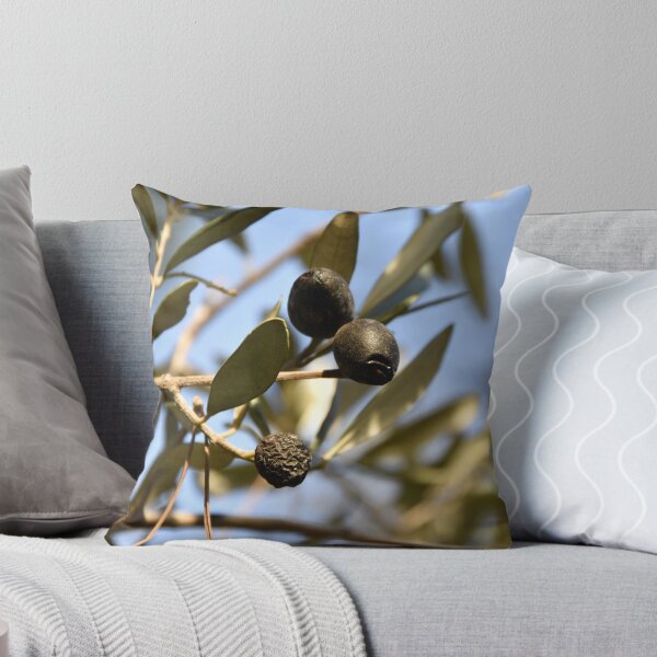 Item preview, Olive Tree in Jerusalem designed and sold by DanaLauraPhoto.