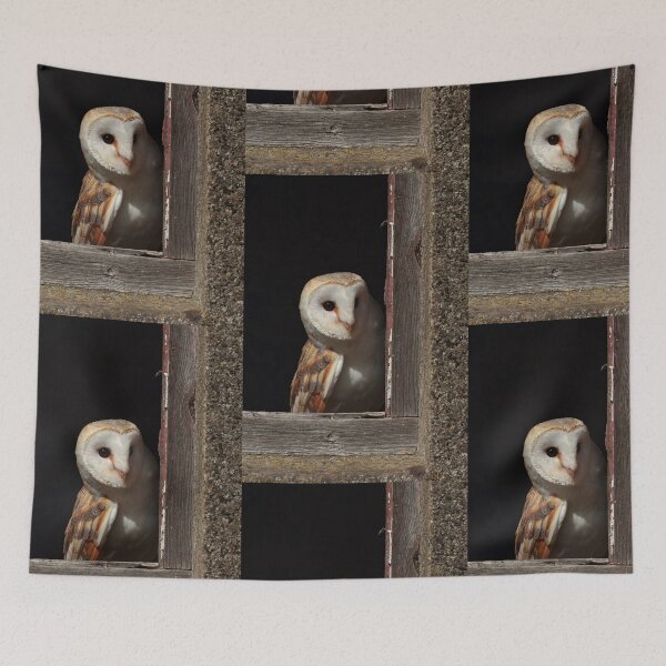 Item preview, Barn Owl designed and sold by FXST.