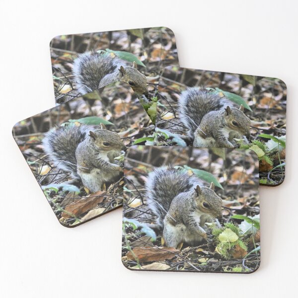 Item preview, Squirreling Around designed and sold by Fearless-Fox.