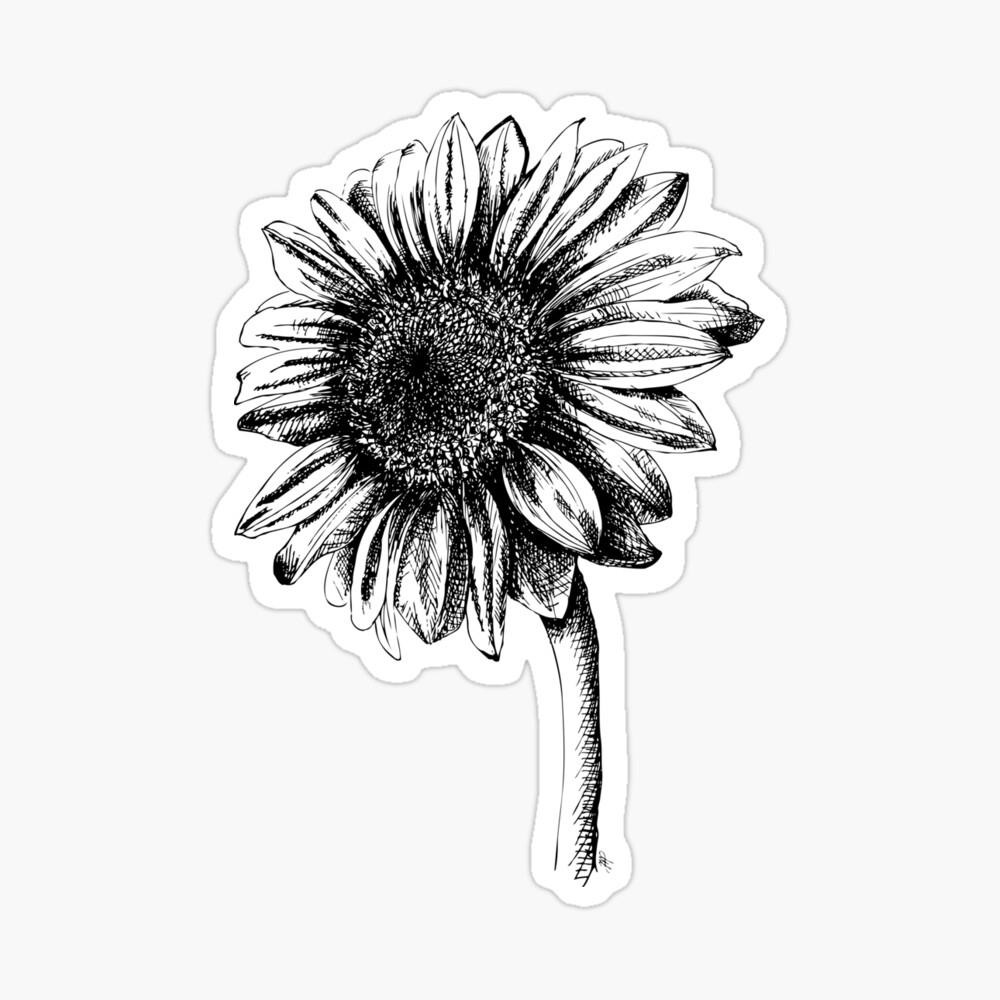 Artist Sketch Sunflower Drawing In Black And White Duvet Cover By Melissapedersen Redbubble