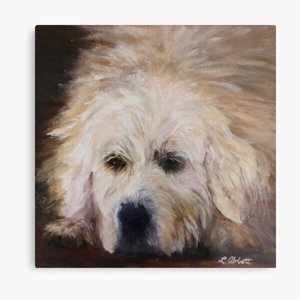 Resting Metal Print