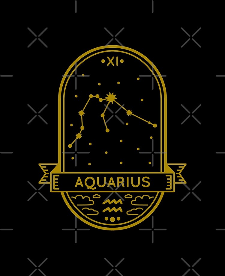 Aquarius January 20 February 18 Zodiac Sign iPad Case Skin