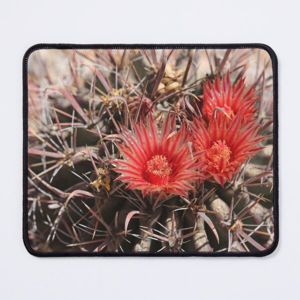 Item preview, Prickly beauty designed and sold by cuprum.