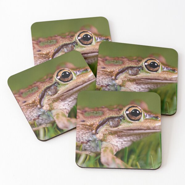 Artikelvorschau, Brauner Motorradfrosch, Nahaufnahme, Makrofoto entworfen und verkauft von hendrikspix.