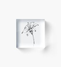 White Lilly Artist Sketch Acrylic Block
