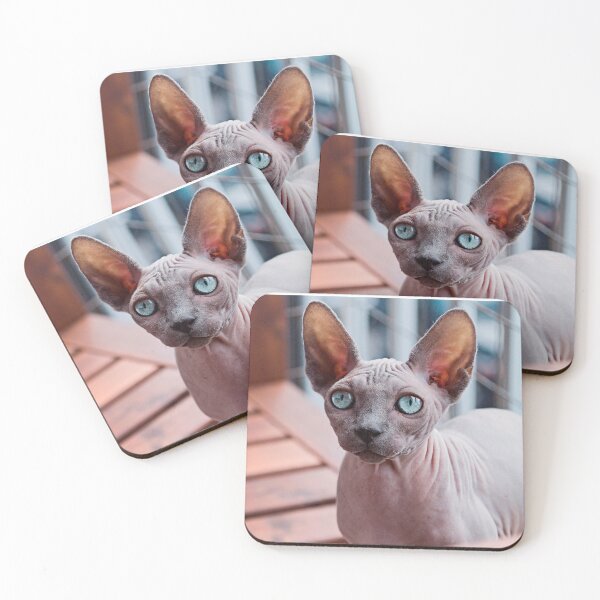 Item preview, feline animals,animal collection#luk&arts the most beautiful animals on the planet designed and sold by LUK0arts.
