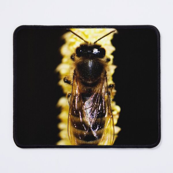 Item preview, Bee on yellow catkin designed and sold by Michaelerch.