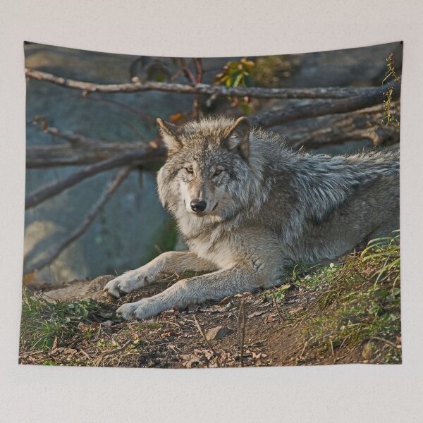 Item preview, Timber Wolf designed and sold by Michael Cummings.