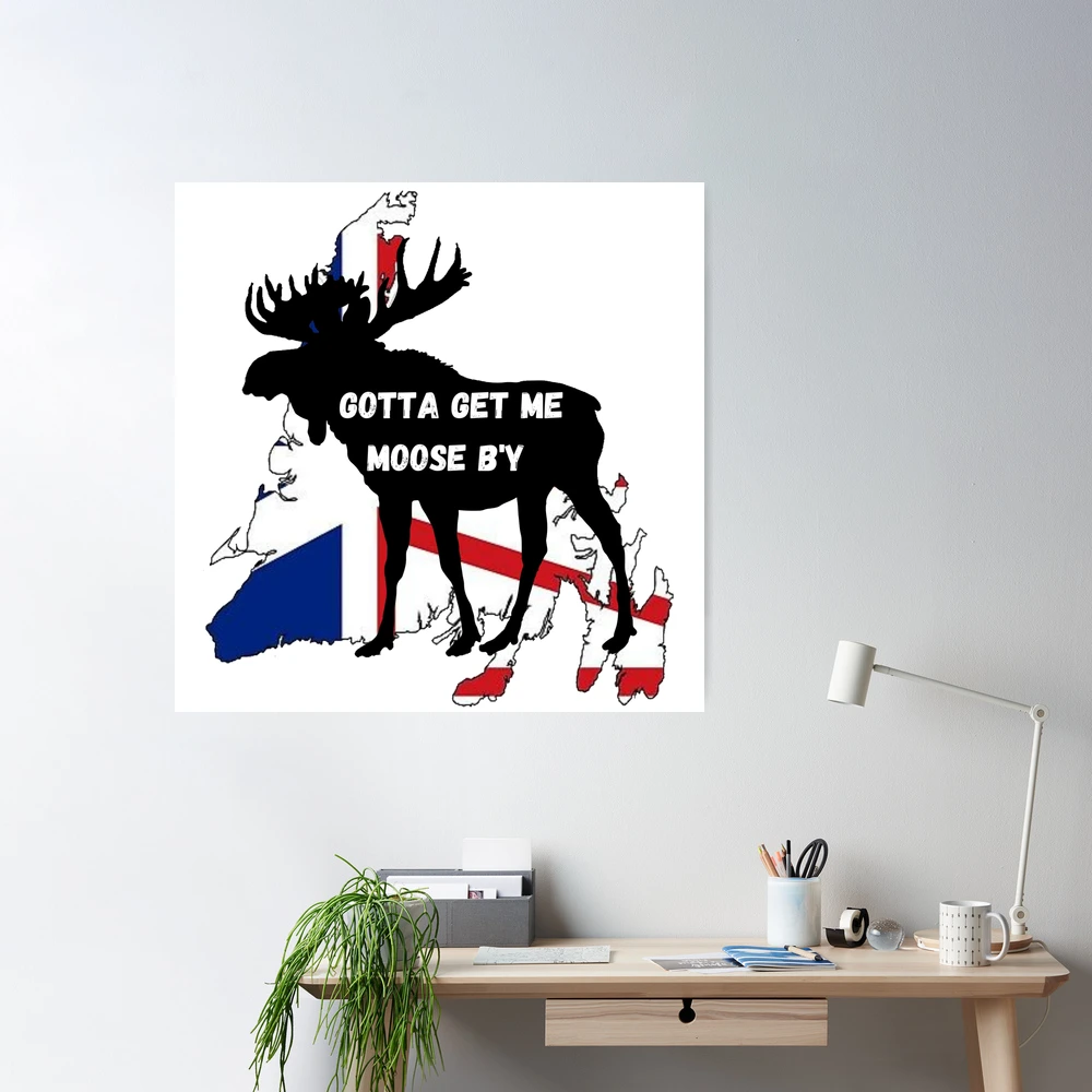 Gotta Get Me Moose B'y - Women's T-Shirt