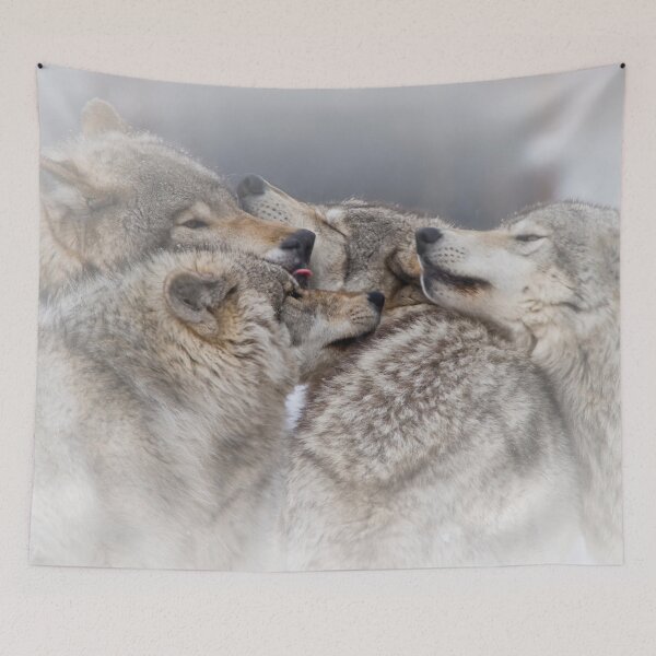 Item preview, Timber Wolves designed and sold by Michael Cummings.