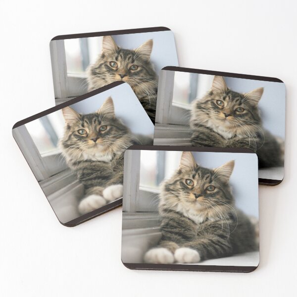 Item preview, feline animals,animal collection#luk&arts the most beautiful animals on the planet designed and sold by LUK0arts.