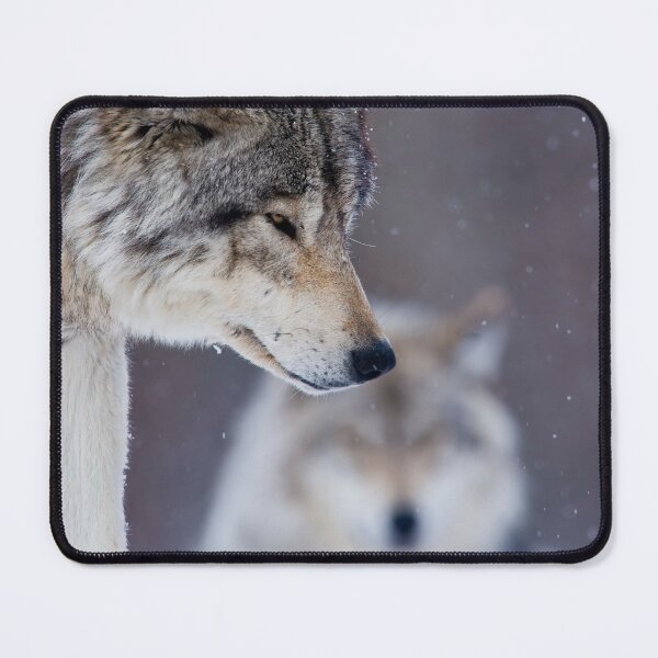 Item preview, Timber Wolf designed and sold by Michael Cummings.