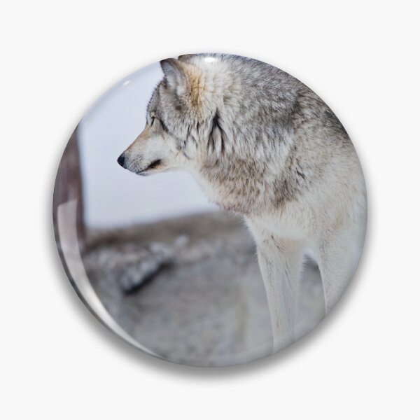 Item preview, Gray Wolves designed and sold by Michael Cummings.