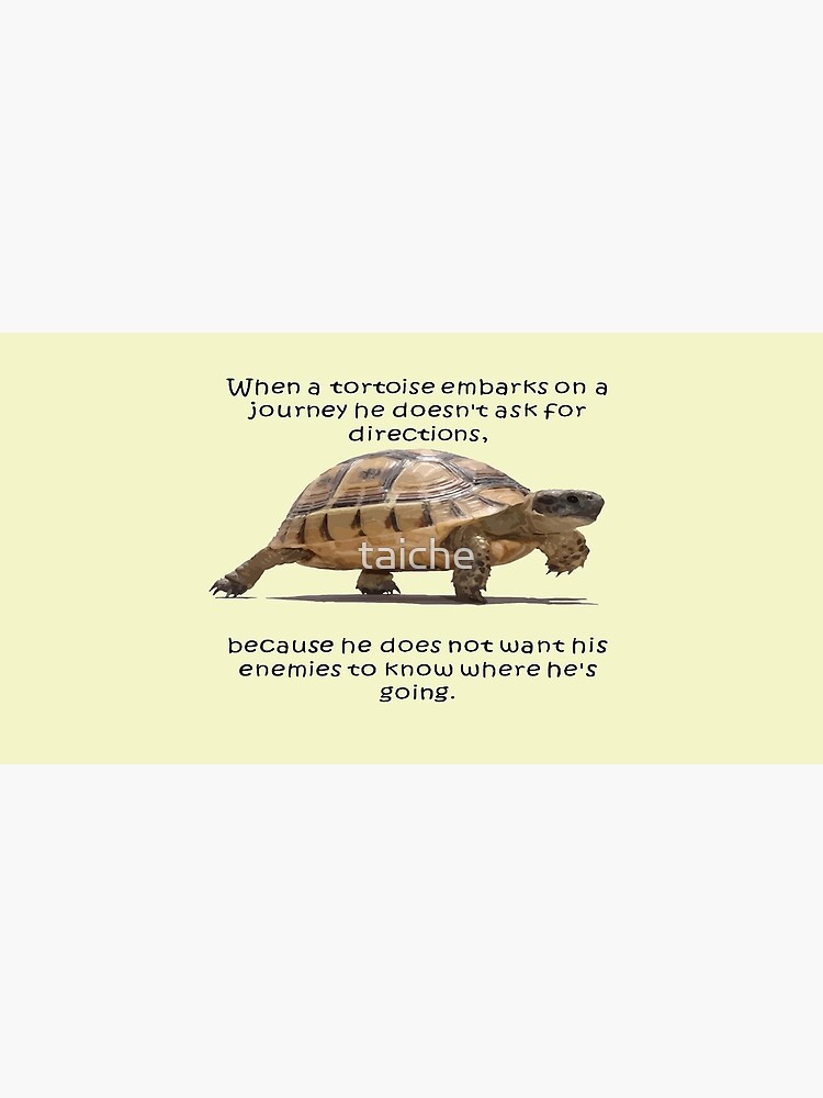 When A Tortoise Embarks On A Journey African Proverb by taiche