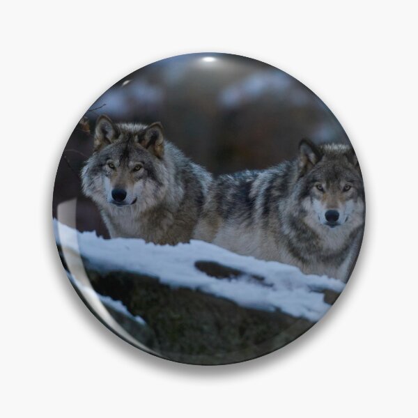 Item preview, Timber Wolves designed and sold by Michael Cummings.