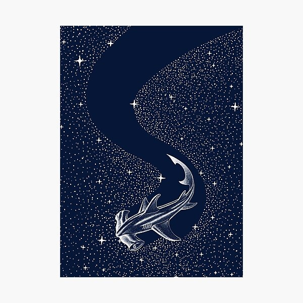 Starry Hammerhead Photographic Print