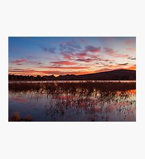 Untitled Photographic Print