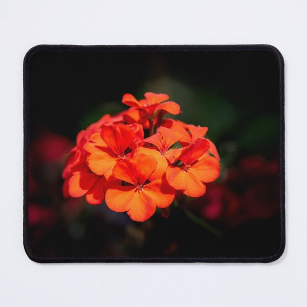 Item preview, Red flower selective focus designed and sold by Millenn.