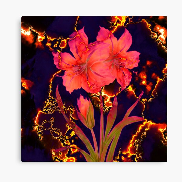 luminous amaryllis Canvas Print