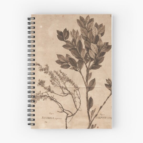 Item preview, Darkacademia Botanical  designed and sold by Asher-and-Asher.