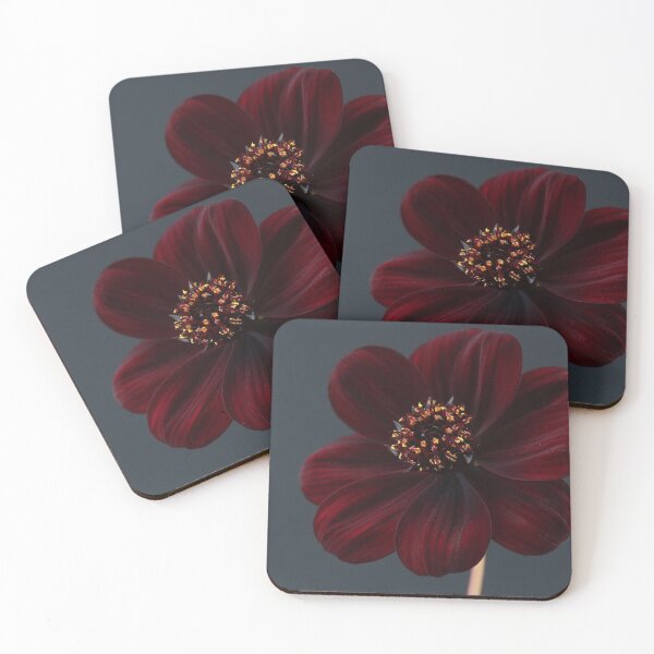 Item preview, Chocolate Cosmos Flower designed and sold by AlysonFennell.