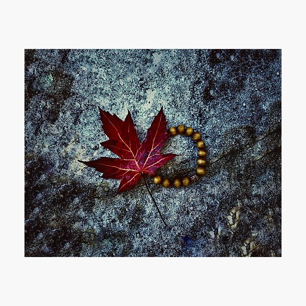 Item preview, Autumn Mala designed and sold by daniel iorio.