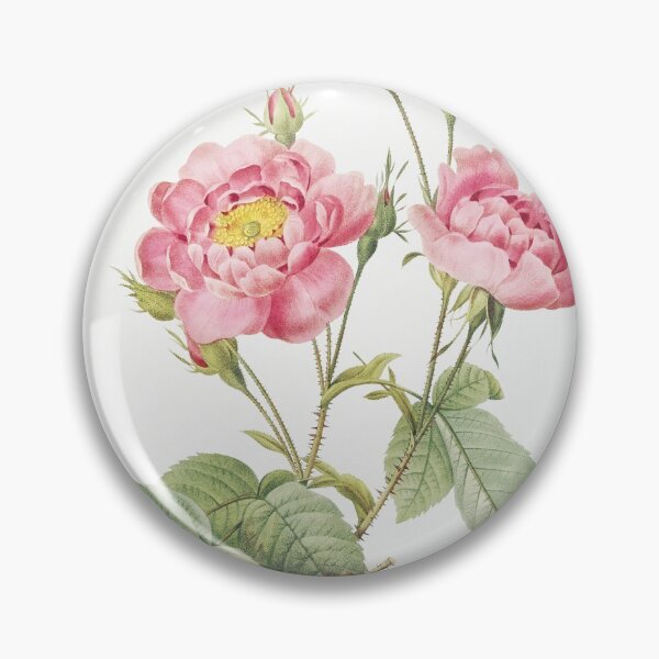 Item preview, Rosa Centifolia, Pink Floral Vintage Botanical, By Pierre-Joseph Redouté designed and sold by Yeldiz.