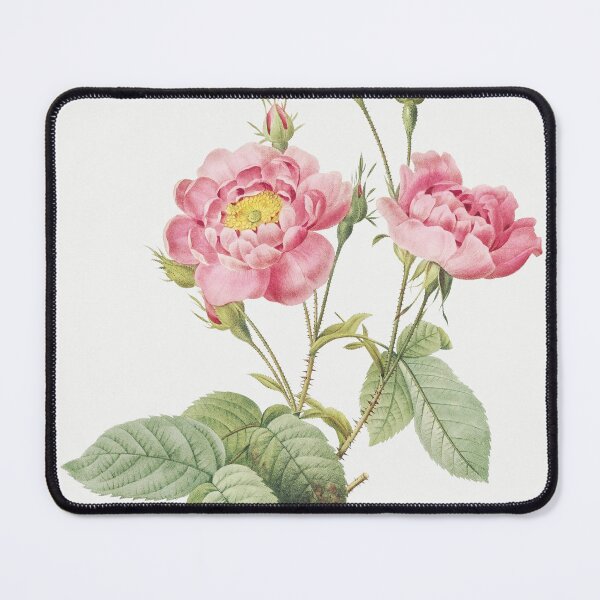 Item preview, Rosa Centifolia, Pink Floral Vintage Botanical, By Pierre-Joseph Redouté designed and sold by Yeldiz.