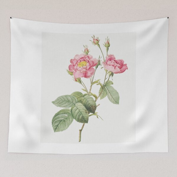 Item preview, Rosa Centifolia, Pink Floral Vintage Botanical, By Pierre-Joseph Redouté designed and sold by Yeldiz.