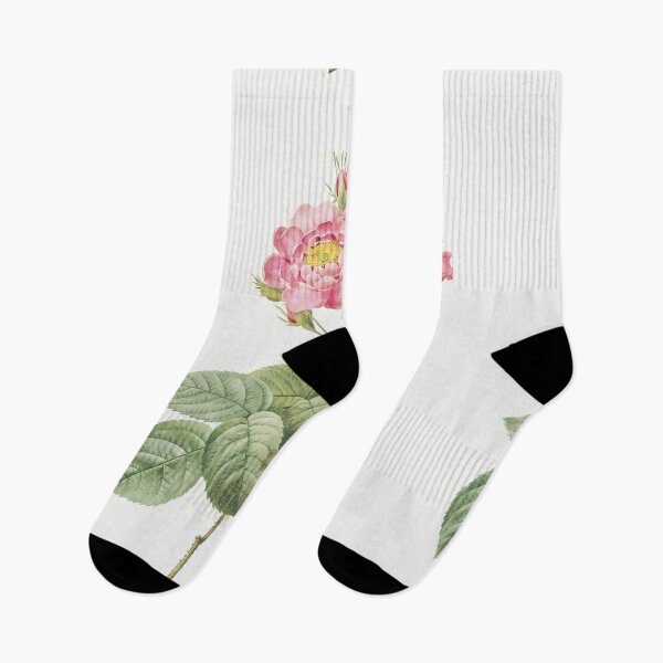 Item preview, Rosa Centifolia, Pink Floral Vintage Botanical, By Pierre-Joseph Redouté designed and sold by Yeldiz.