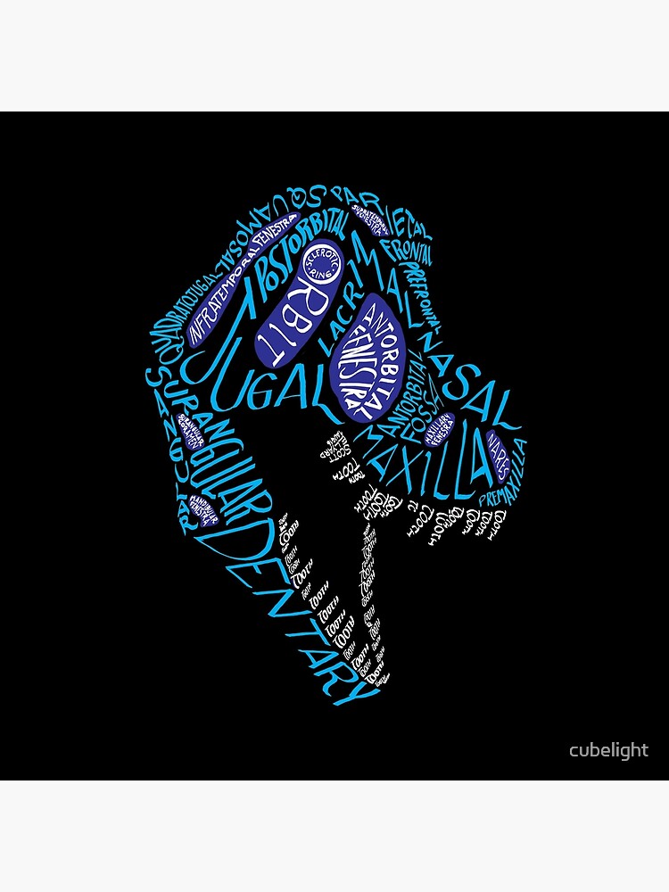 Color Calligram Tyrannosaur Skull by cubelight