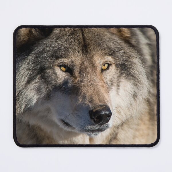 Item preview, Timber Wolf designed and sold by Michael Cummings.