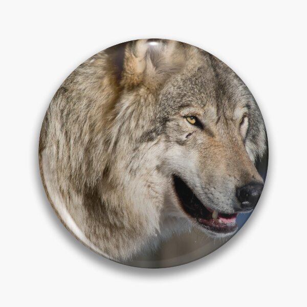 Artikelvorschau, Grauer Wolf entworfen und verkauft von Michael Cummings.