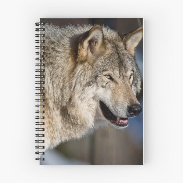 Artikelvorschau, Grauer Wolf entworfen und verkauft von Michael Cummings.
