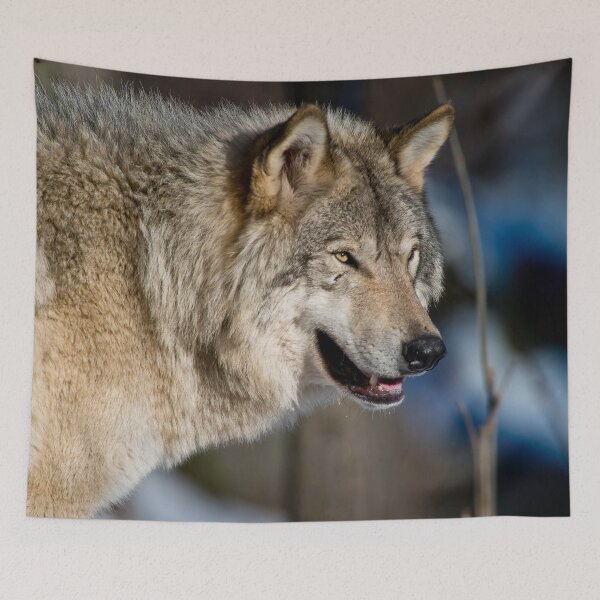 Item preview, Grey Wolf designed and sold by Michael Cummings.