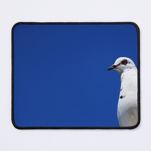 Item preview, White pigeon on a blue background designed and sold by Michaelerch.