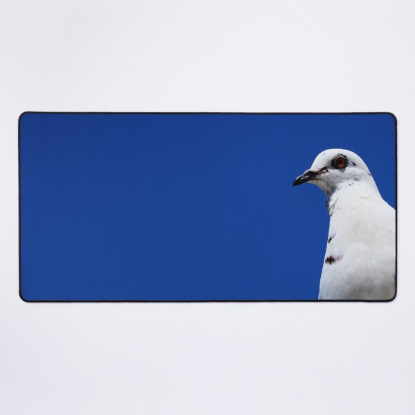 Item preview, White pigeon on a blue background designed and sold by Michaelerch.