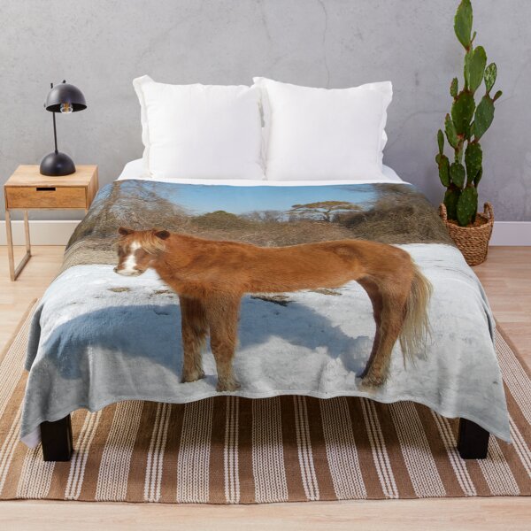 Item preview, Wild horse, Assateague Island, wildlife, gifts designed and sold by Sandra O'Toole.