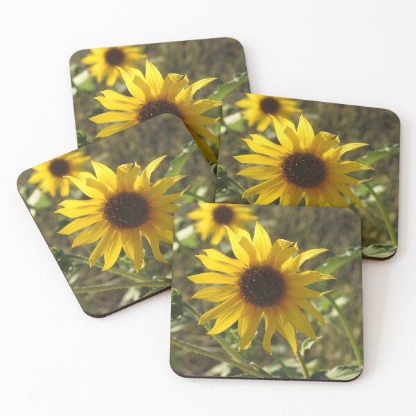 Item preview, Sunflower, flowers, natural, nature, gifts designed and sold by Sandra O'Toole.