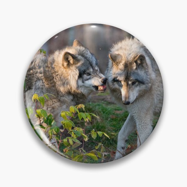 Item preview, Gray Wolf designed and sold by Michael Cummings.