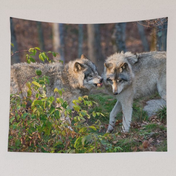 Item preview, Gray Wolf designed and sold by Michael Cummings.