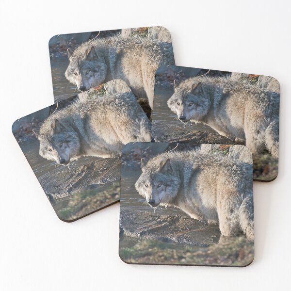 Item preview, Grey Wolf designed and sold by Michael Cummings.