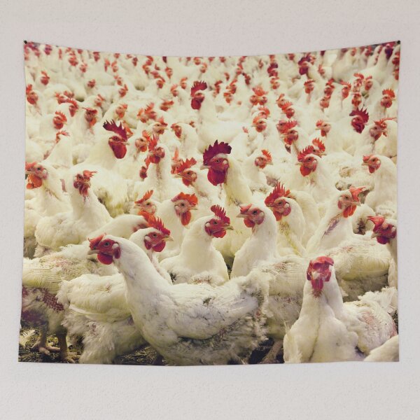 Item preview, Thousands of Chickens designed and sold by MoStorish.