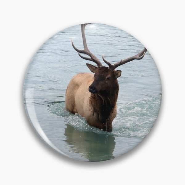 Item preview, Elk in the Athabasca River designed and sold by Alyce Taylor.