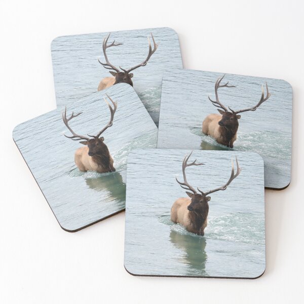 Item preview, Elk in the Athabasca River designed and sold by Alyce Taylor.
