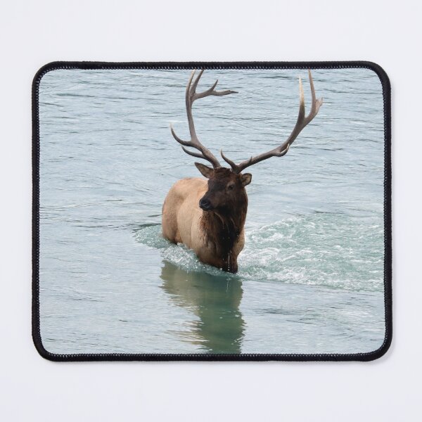 Item preview, Elk in the Athabasca River designed and sold by Alyce Taylor.