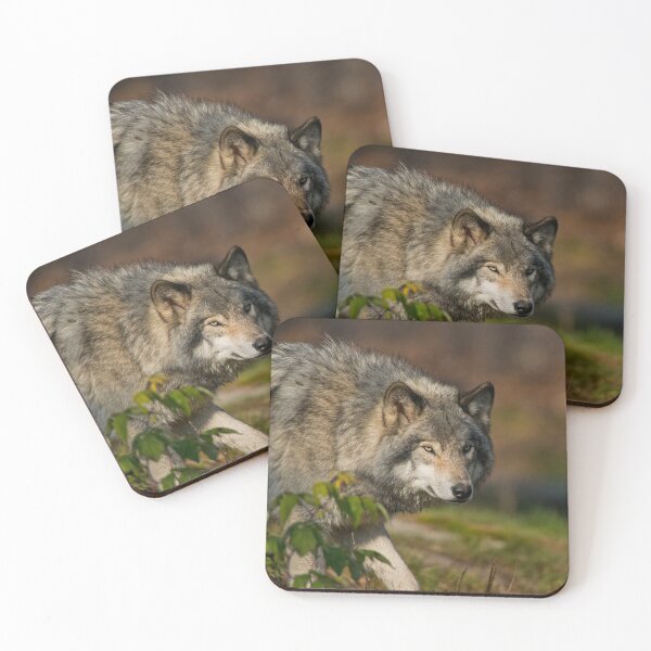 Item preview, Timber Wolf designed and sold by Michael Cummings.