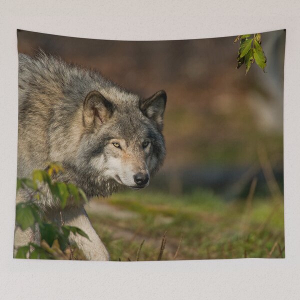Artikelvorschau, Holzwolf entworfen und verkauft von Michael Cummings.