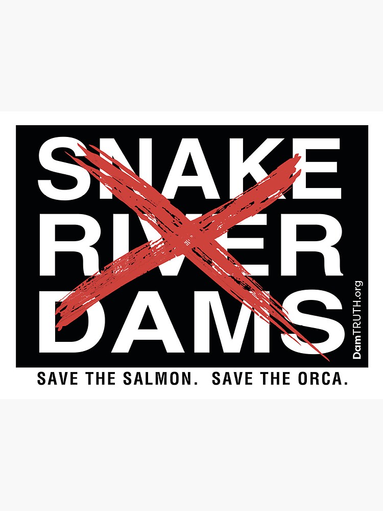 No Snake River Dams by BetseyT